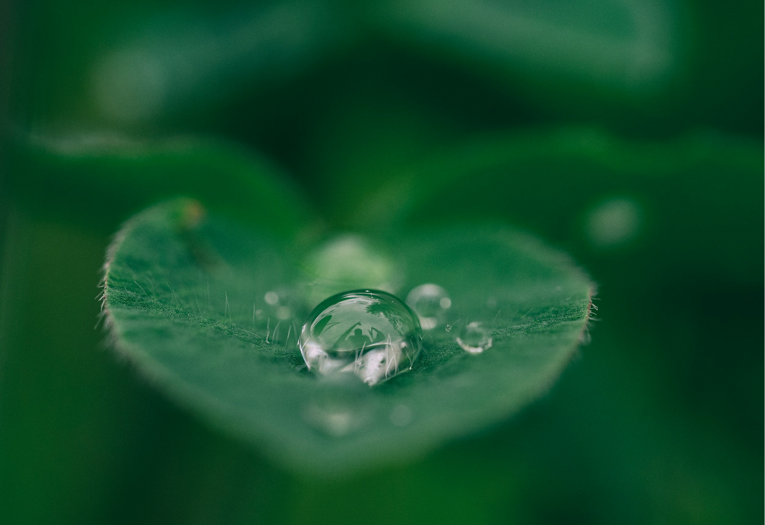 Mindfulness Thrivenow Recovery Centers
